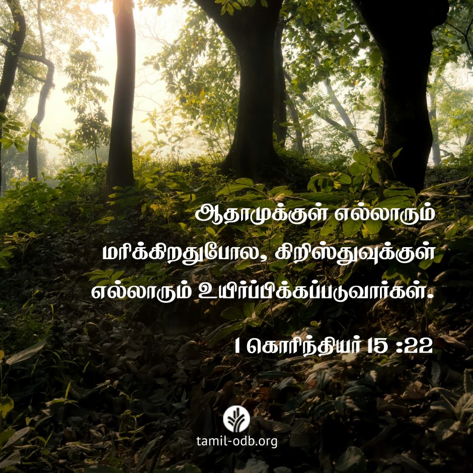Share Tamil ODB 2026-09-15 Share Tamil ODB 2026-09-15