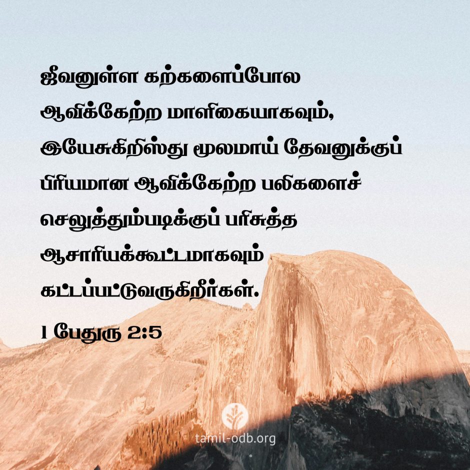 Share Tamil ODB 2026-09-16 Share Tamil ODB 2026-09-16