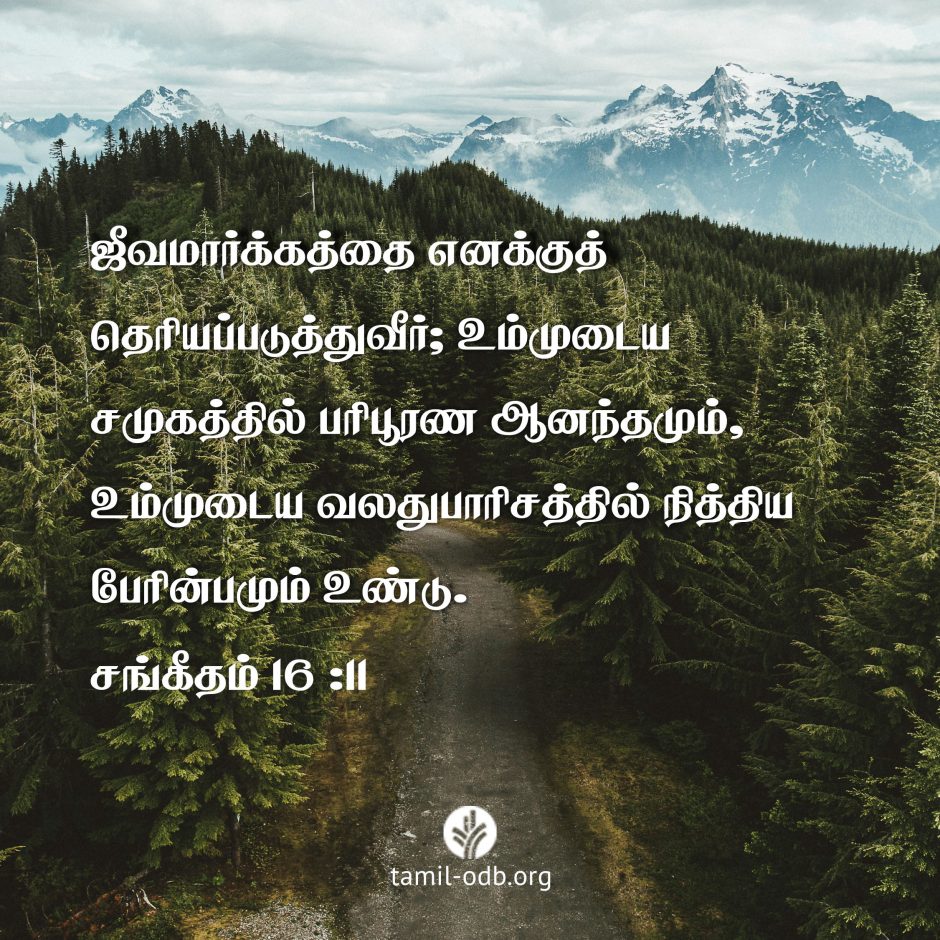 Share Tamil ODB 2026-09-19 Share Tamil ODB 2026-09-19