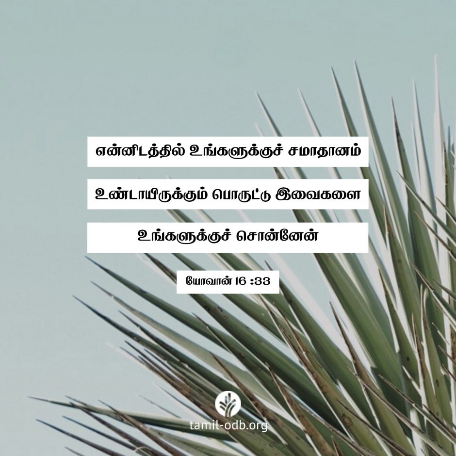 Share Tamil ODB 2026-09-21 Share Tamil ODB 2026-09-21