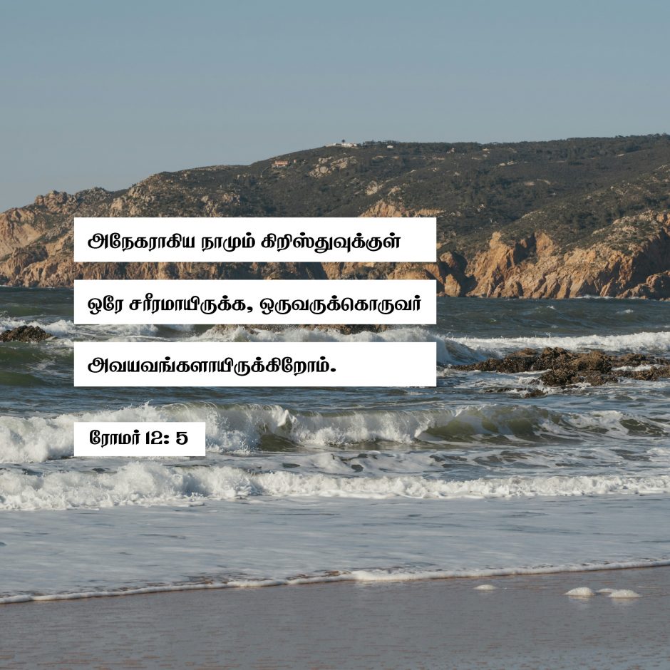 Share Tamil ODB 2026-09-24 Share Tamil ODB 2026-09-24