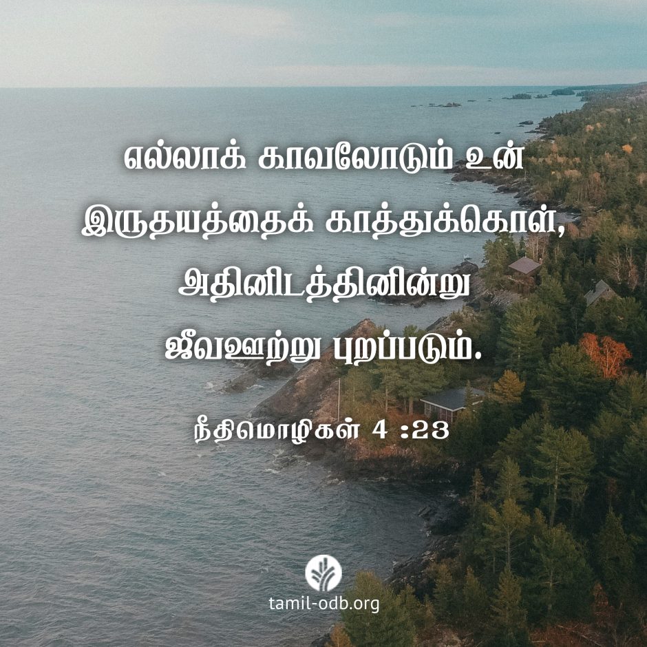 Share Tamil ODB 2026-09-29 Share Tamil ODB 2026-09-29
