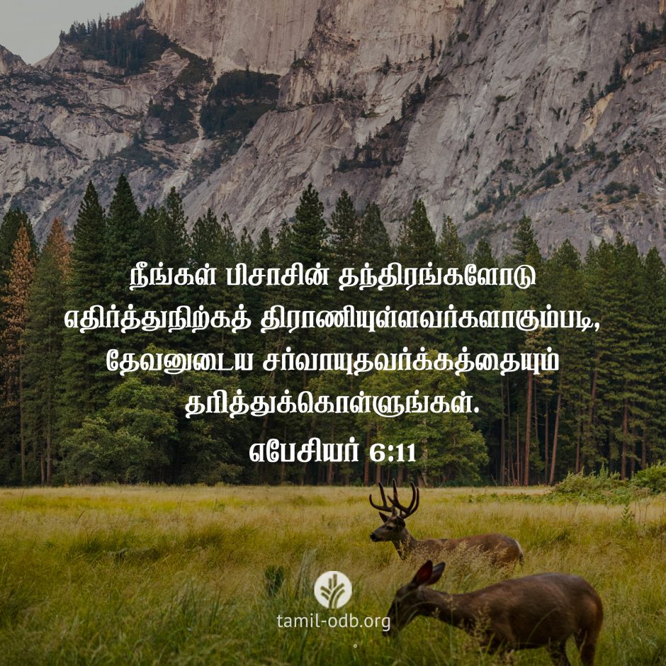 Share Tamil ODB 2026-10-01 Share Tamil ODB 2026-10-01