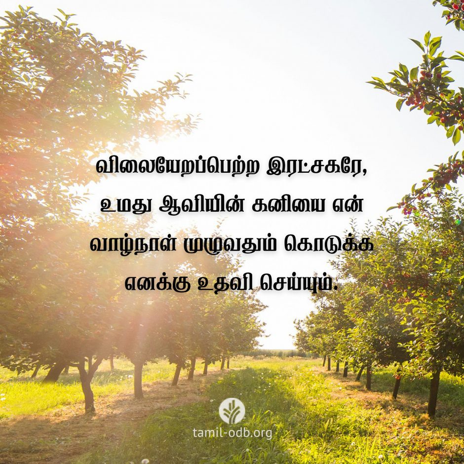 Share Tamil ODB 2026-10-02 Share Tamil ODB 2026-10-02