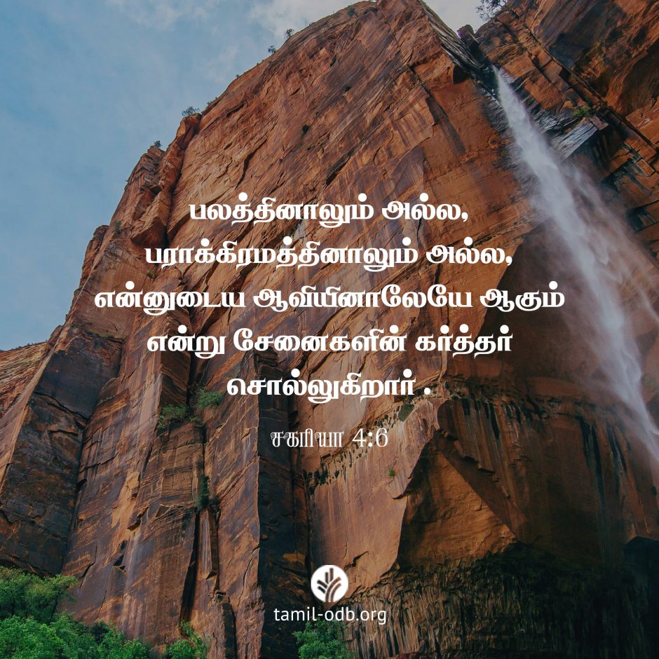 Share Tamil ODB 2026-10-07 Share Tamil ODB 2026-10-07