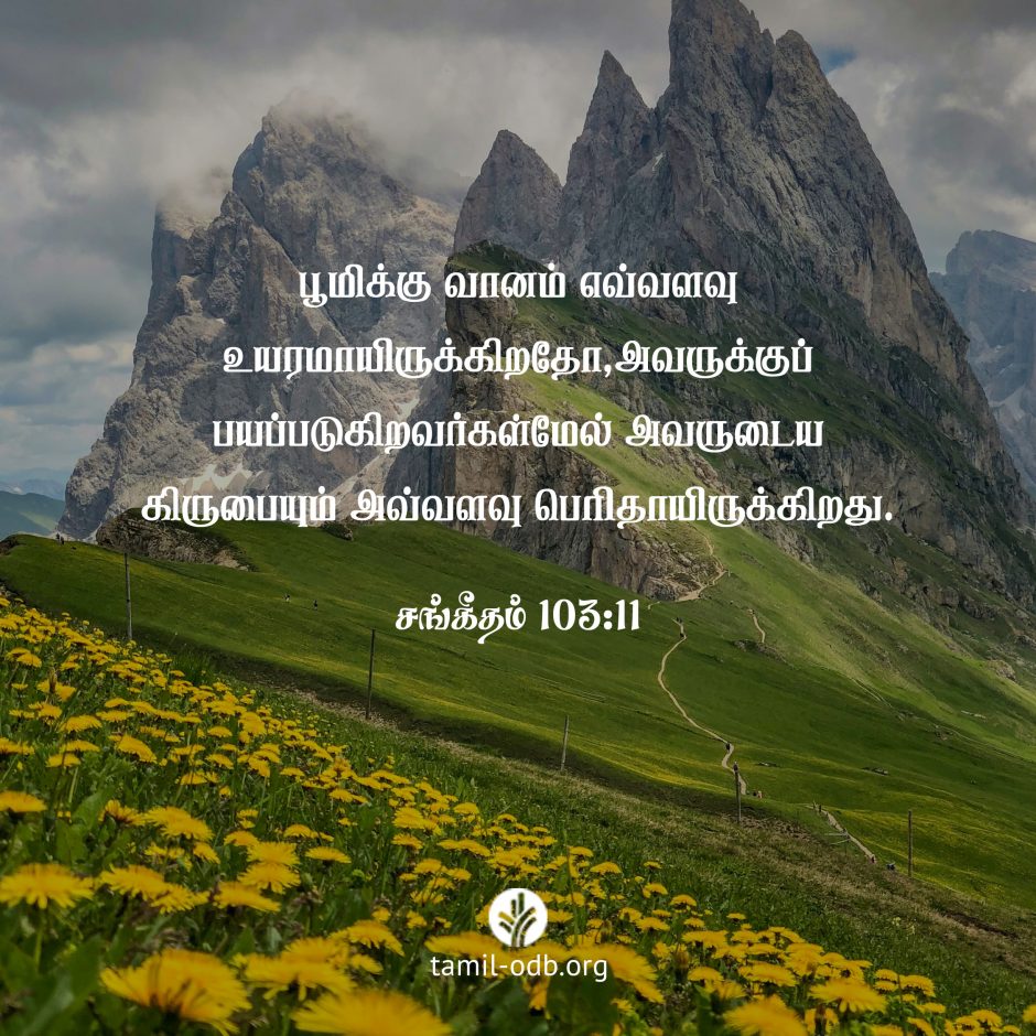 Share Tamil ODB 2026-10-10 Share Tamil ODB 2026-10-10