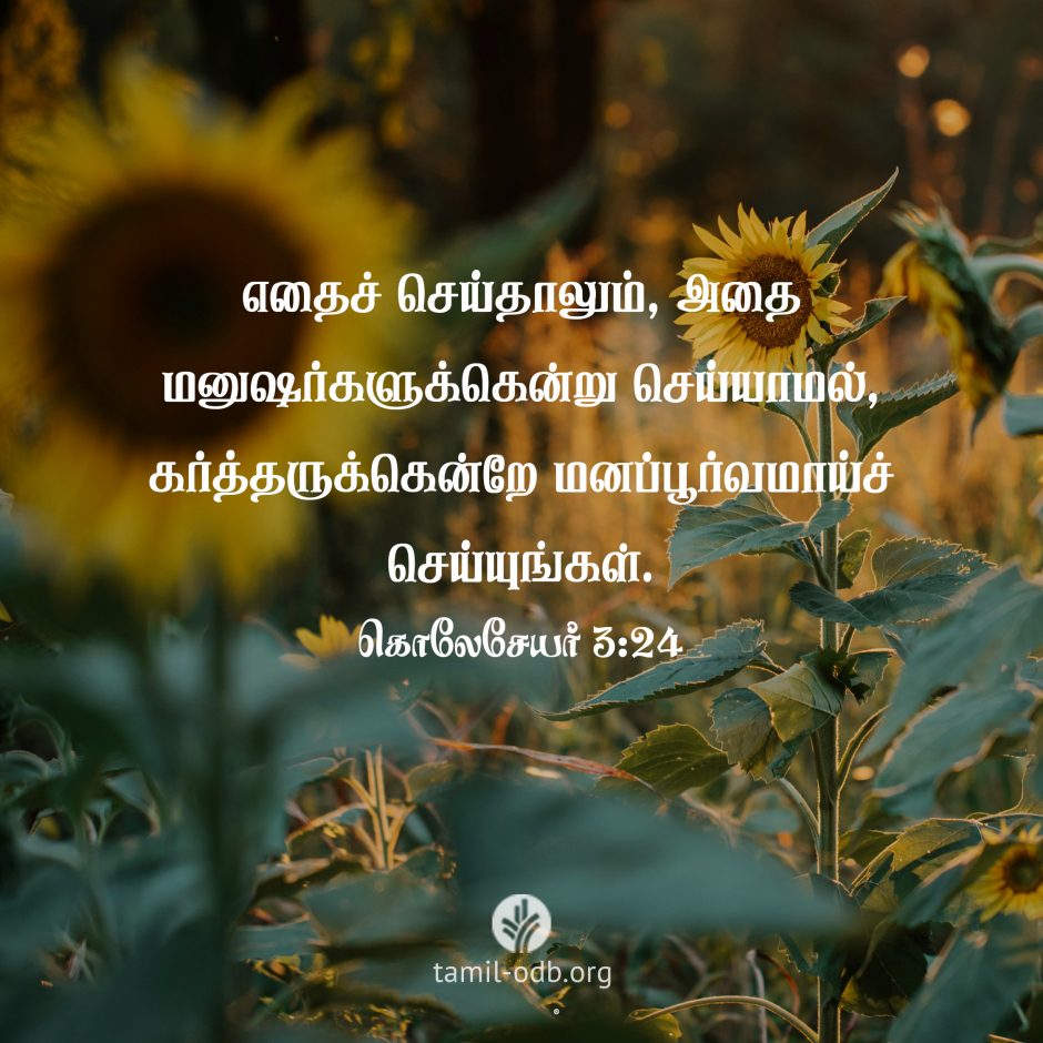 Share Tamil ODB 2026-10-19