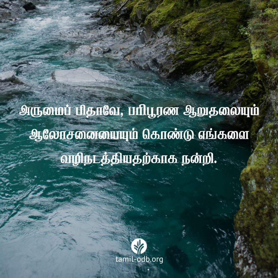 Share Tamil ODB 2026-10-23 Share Tamil ODB 2026-10-23